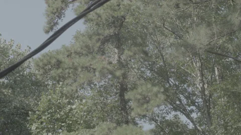 Outside Trailer Skyline B-Roll - 4K DNxHR 444 MOV - Log C Flat Profile Stock Footage 139118903