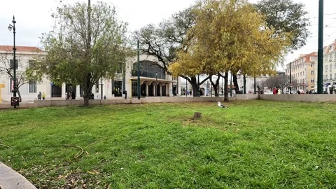 Outside train station in Lisbon Video stock 233202650