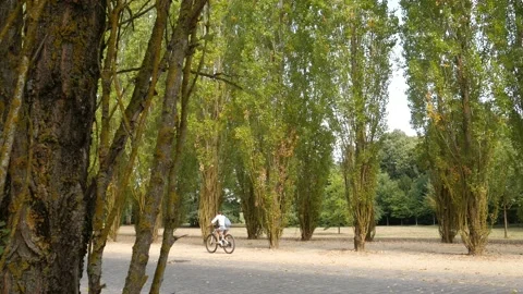 Outside Versailles 動画素材 197217020