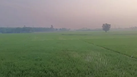 Outside view of fields from inside of train Stock Footage 340193411