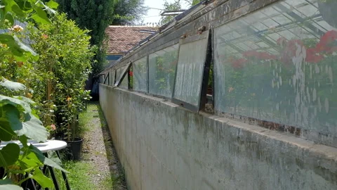 Outside view of small greenhouse wall with glass windows. Home gardening concept Video stock 254804973