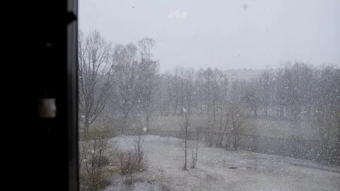 Outside  window, snow is falling and it is snowing.big snow flakes are falling Stock Footage 128453412