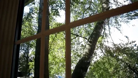 Outside the window the wind rustles the leaves of the trees Stock Footage 80516546