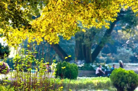 The outskirts of the fall Foto stock