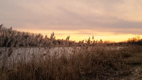 Outumn lake Stock Footage 105860487