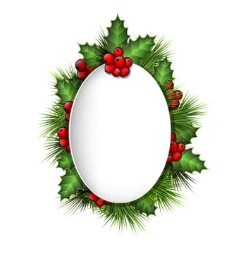 Oval blank frame with holly sprigs and pine branches isolated on Stock Illustration