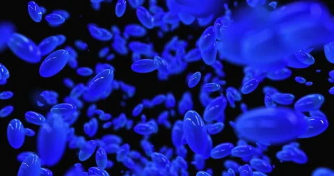 Oval blue capsules float in zero gravity. Camera movement through many oval Stock Footage 270134762