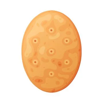 Oval Crunchy Cracker Cookie as Dry Baked Flour Biscuit Vector Illustration Stock Illustration
