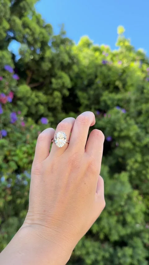 Oval diamond engagement ring shining against green leaves in sunlight Stock Footage 320313910