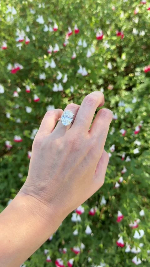 Oval diamond engagement ring sparkling in front of red and white flower bush 스톡 동영상 320313900