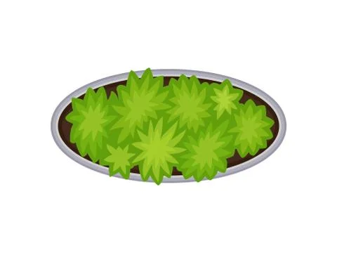 Oval flower bed. View from above. Vector illustration. Ilustração Stock