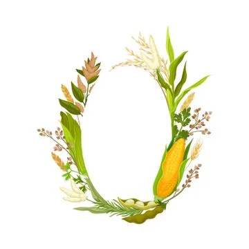 Oval frame of different stalks and ears of corn. Vector illustration. Illustrazione stock