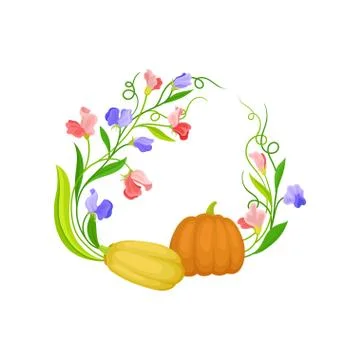 Oval frame with a gap at the top of the climbing stems with pumpkins. Vector Stock Illustration