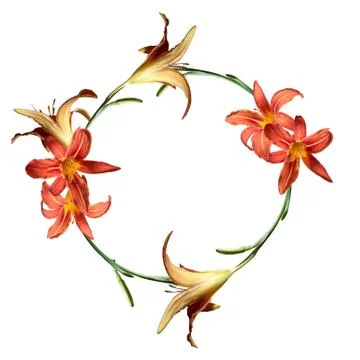 Oval frame of green stems and orange lily flowers Illustrazione stock