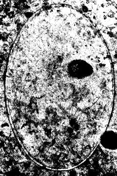 Oval grunge background Stock Illustration