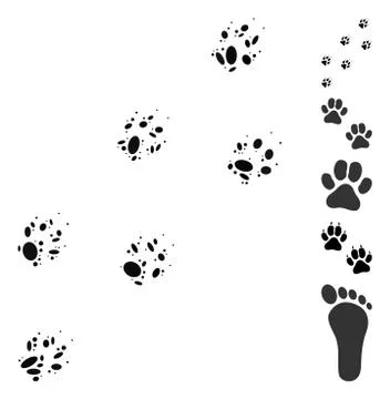 Oval Mosaic Wolf Track Stock Illustration