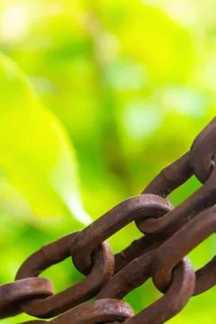Oval ring brown chain tight old iron close-up border copy space on blurred 스톡 사진