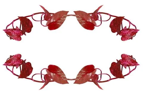 Oval shape frame made from red leafs.isolated. Stock Photos
