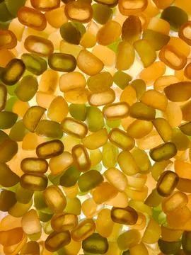 Oval-shaped multi-colored jelly candies all over the background are illuminated Stock Photos