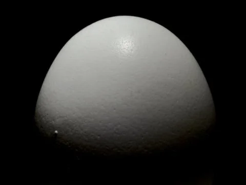 Oval white egg Stock Photos