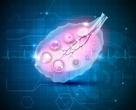 Ovary Stock Illustration