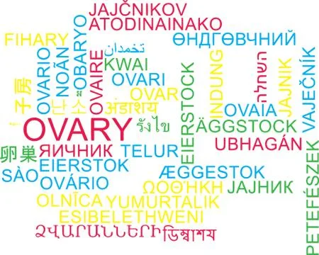 Ovary multilanguage wordcloud background concept Stock Illustration