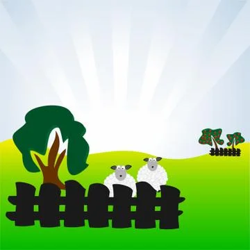 Ovci Stock Illustration