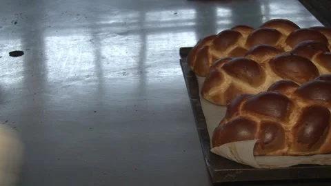 The oven in the bakery. Hot fresh bread leaves the industrial oven in a bakery.  Stock Footage 169050314