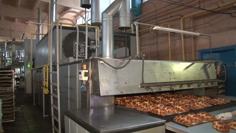 The oven in the bakery. Hot fresh bread leaves the industrial oven in a bakery.  Stock Footage 169050323