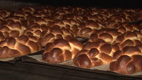 The oven in the bakery. Hot fresh bread leaves the industrial oven in a bakery.  Stock Footage 169050355