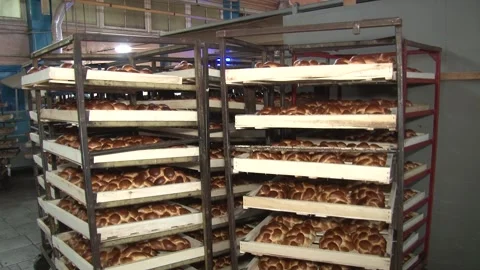 The oven in the bakery. Hot fresh bread leaves the industrial oven in a bakery.  Stock Footage 169050357