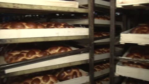 The oven in the bakery. Hot fresh bread leaves the industrial oven in a bakery.  Stock Footage 169050363