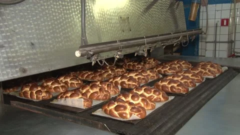 The oven in the bakery. Hot fresh bread leaves the industrial oven in a bakery.  Stock Footage 169050369