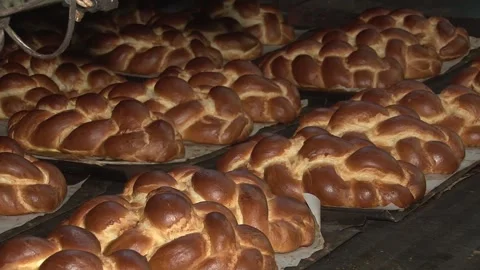 The oven in the bakery. Hot fresh bread leaves the industrial oven in a bakery.  Stock Footage 169050399