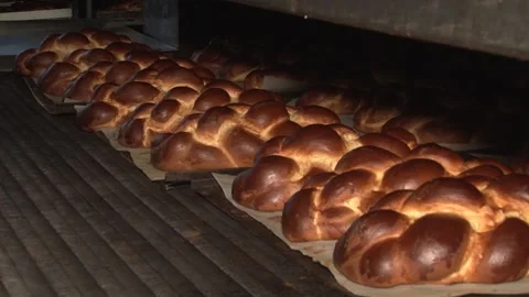 The oven in the bakery. Hot fresh bread leaves the industrial oven in a bakery.  Stock Footage 169051322
