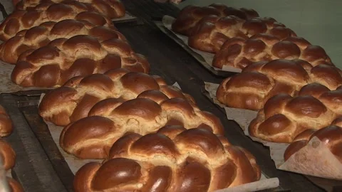 The oven in the bakery. Hot fresh bread leaves the industrial oven in a bakery. Stock Footage 169051385