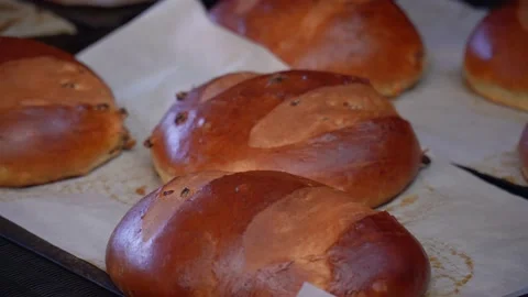 The oven in the bakery. Hot fresh bread leaves the industrial oven in a bakery. Stock Footage 223908382