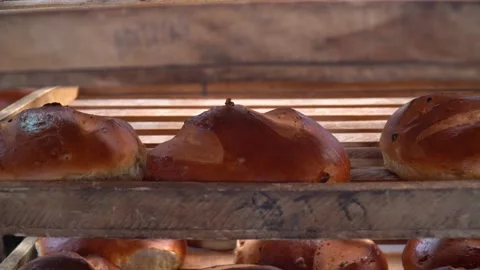 The oven in the bakery. Hot fresh bread leaves the industrial oven in a bakery. Stock Footage 223909901