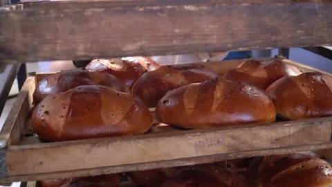 The oven in the bakery. Hot fresh bread leaves the industrial oven in a bakery. Stock Footage 223910275