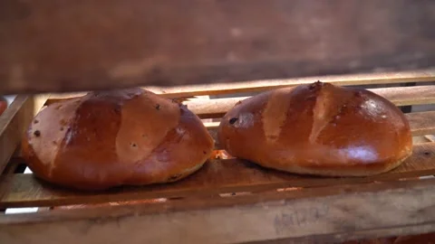 The oven in the bakery. Hot fresh bread leaves the industrial oven in a bakery. Stock Footage 223910276