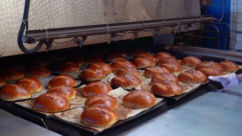 The oven in the bakery. Hot fresh bread leaves the industrial oven in a bakery. Stock Footage 223911694