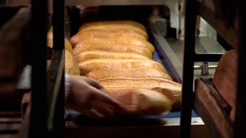 The oven in the bakery. Hot fresh bread leaves the industrial oven in a bakery. Stock Footage 223912013
