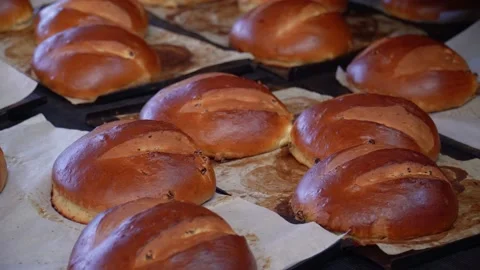 The oven in the bakery. Hot fresh bread leaves the industrial oven in a bakery. Stock Footage 223912764