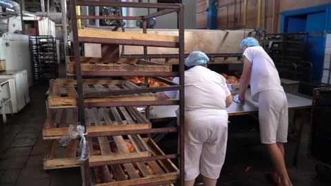 The oven in the bakery. Hot fresh bread leaves the industrial oven in a bakery. Stock Footage 230490310