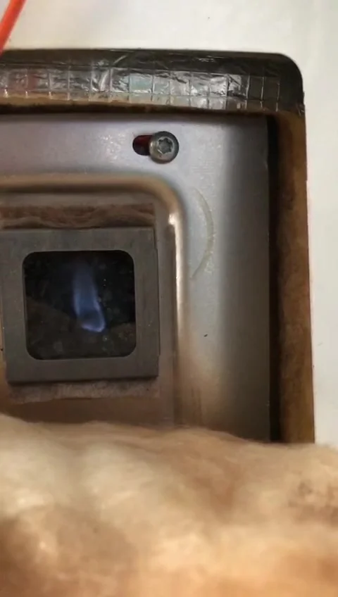 Oven cooking 3 Stock Footage 236265677