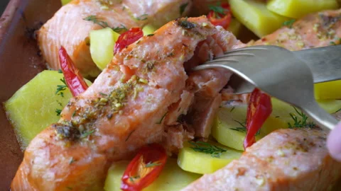 Oven roasted salmon fillets, fish with vegetable, green herbs and spices Stock Footage 313473873