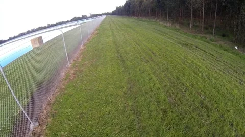 Over a Barbed wire Fence Video stock 41934010