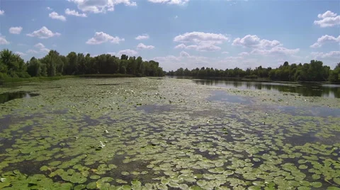 Over  beautiful quiet river and e sky with clouds. Aerial   view Video stock 40976770