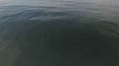 Over the blue surface Vídeo Stock 80552136