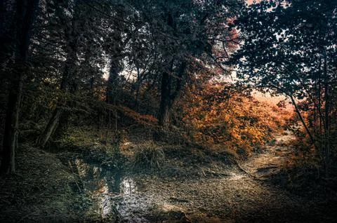 Over the brook and into the fields Stock Photos